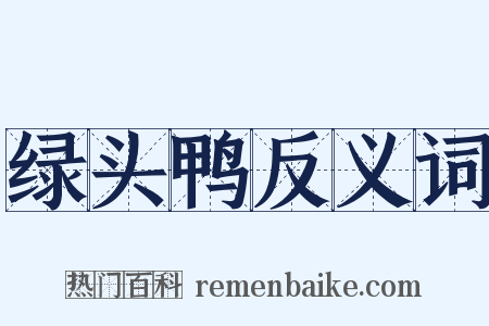 绿头鸭反义词是什么意思的图片